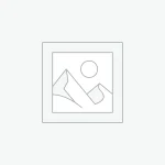 HP ZBook Firefly 14 G8